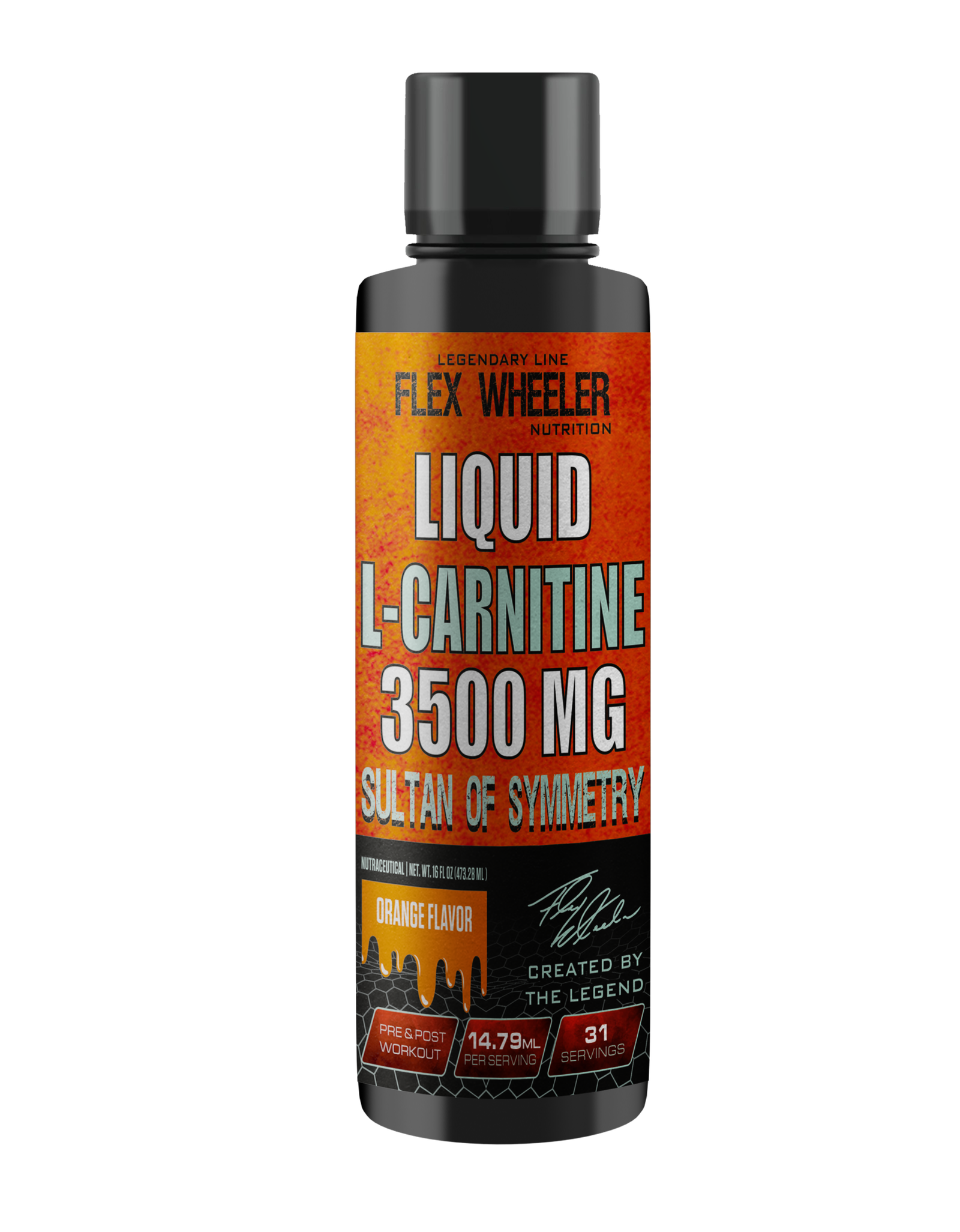 L CARNITINE LIQUID