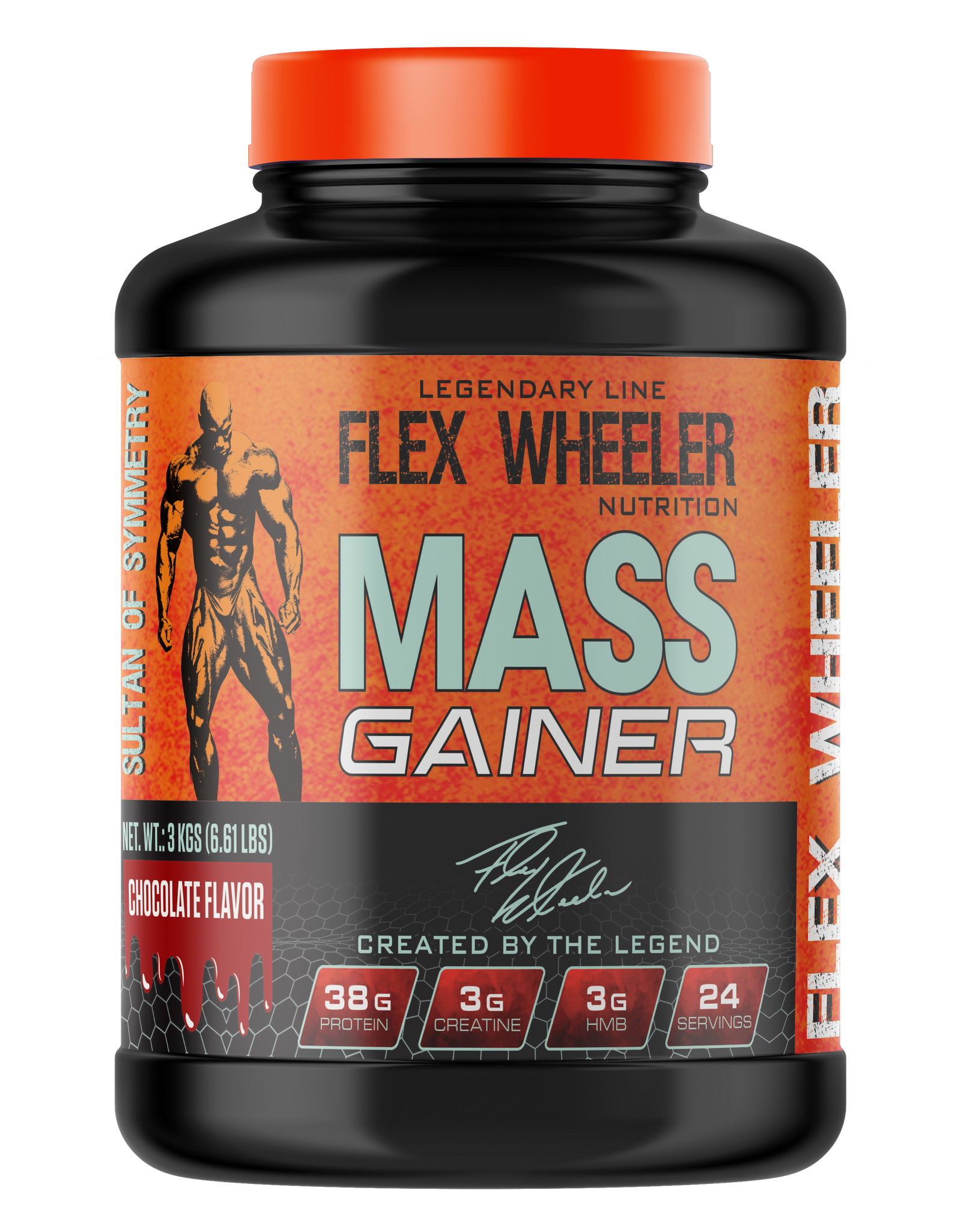 MASS GAINER 6 LBS