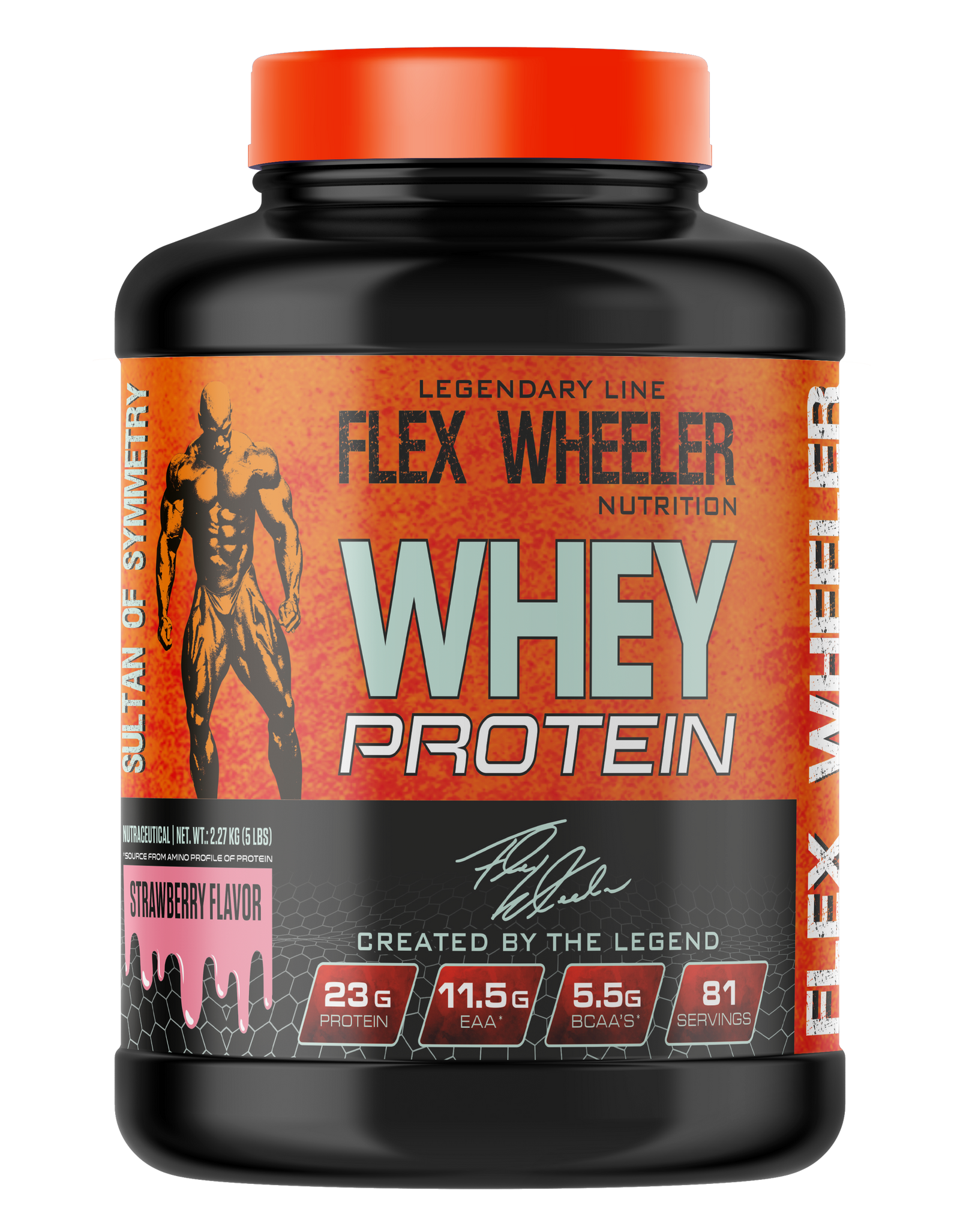 WHEY PROTEIN